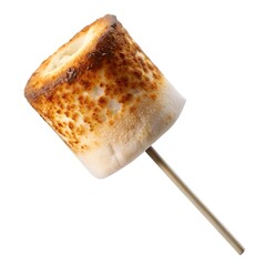 Perfectly toasted marshmallow on a stick, ready for s’mores or a sweet treat