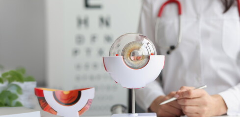 Close-up of ophthalmologist doctor in clinic, part of eye model on desk, oculus sample. Make...