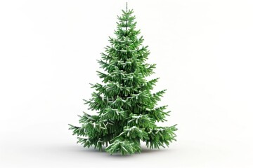 Fototapeta premium christmas tree isolated Beautiful christmas tree isolated on a white background