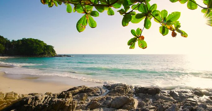 tropical beach in thailand