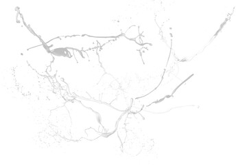 White paint splash isolated 