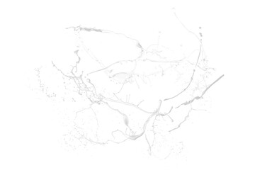 White paint splash isolated 