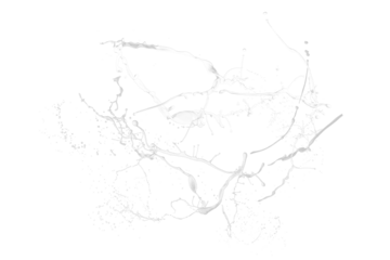 White paint splash isolated 