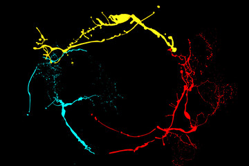 Colorful paint splashing isolated 