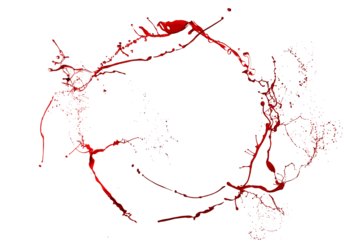 Red paint splash isolated
