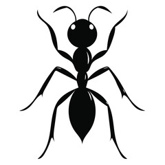 ant silhouette isolated on white background illustration vector artwork