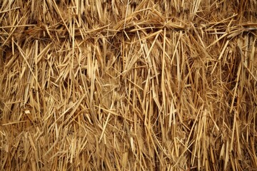 Fototapeta premium Straw wall texture