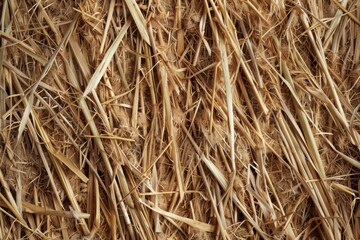 Straw wall texture