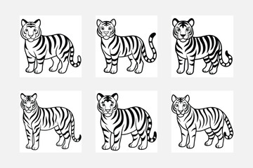 The tiger is black and white