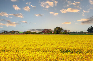 Peninsula Nordstrand in Germany, Europe