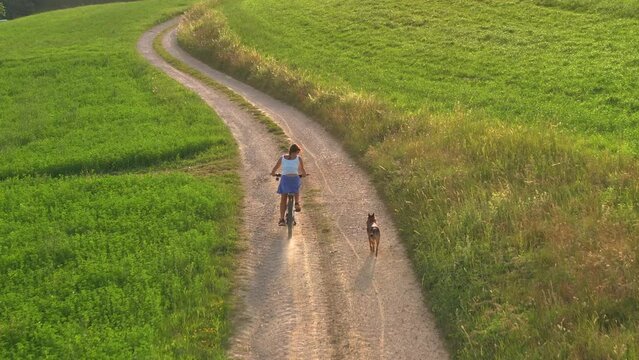 AERIAL: Sporty woman riding bike with dog by her side along a gravel country road, among beautiful green meadows. The joy of outdoor activities and the companionship of a beloved pet in rural setting.