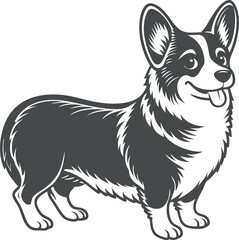 Fototapeta premium A black and white dog with a white spot on its face is standing in front of a wh