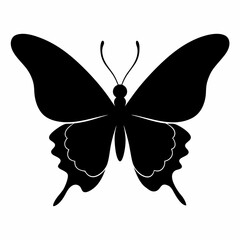 butterfly vector illustration, butterfly isolated on white, butterfly silhouette, butterfly vector art