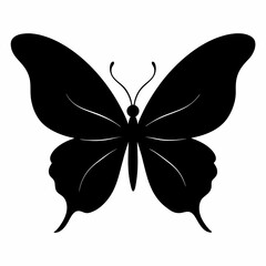 butterfly vector illustration, butterfly isolated on white, butterfly silhouette, butterfly vector art