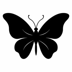 butterfly vector illustration, butterfly isolated on white, butterfly silhouette, butterfly vector art