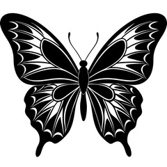 butterfly vector illustration, butterfly isolated on white, butterfly silhouette, butterfly vector art