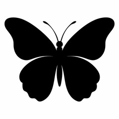 butterfly vector illustration, butterfly isolated on white, butterfly silhouette, butterfly vector art