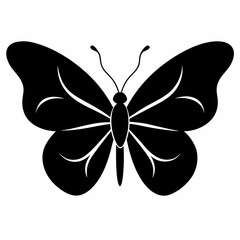 butterfly vector illustration, butterfly isolated on white, butterfly silhouette, butterfly vector art