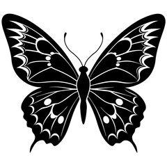 butterfly vector illustration, butterfly isolated on white, butterfly silhouette, butterfly vector art