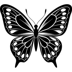 butterfly vector illustration, butterfly isolated on white, butterfly silhouette, butterfly vector art