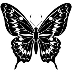 butterfly vector illustration, butterfly isolated on white, butterfly silhouette, butterfly vector art
