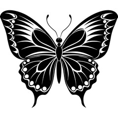 butterfly vector illustration, butterfly isolated on white, butterfly silhouette, butterfly vector art