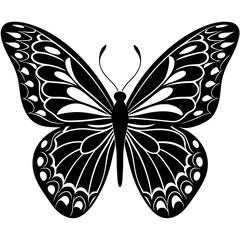 butterfly vector illustration, butterfly isolated on white, butterfly silhouette, butterfly vector art