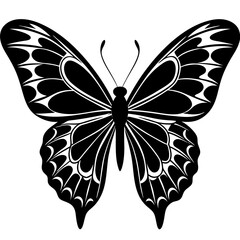 butterfly vector illustration, butterfly isolated on white, butterfly silhouette, butterfly vector art