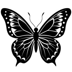 butterfly vector illustration, butterfly isolated on white, butterfly silhouette, butterfly vector art