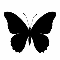 butterfly vector illustration, butterfly isolated on white, butterfly silhouette, butterfly vector art