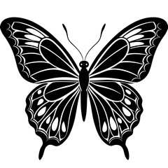 butterfly vector illustration, butterfly isolated on white, butterfly silhouette, butterfly vector art