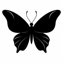 butterfly vector illustration, butterfly isolated on white, butterfly silhouette, butterfly vector art