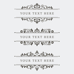 Vintage Floral Border Vector Template Collection