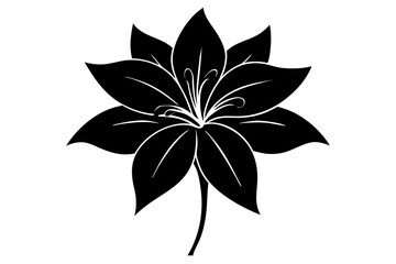 Lily vector illustration, Lily isolated on white, Lily silhouette, Lily vector art