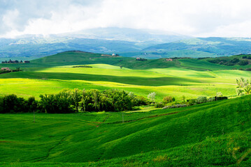 Tuscany, Italy-April 22, 2024: Lush Green Rolling Hills of Tuscany