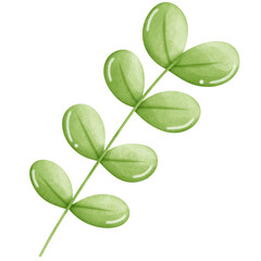 Obraz premium Leaf