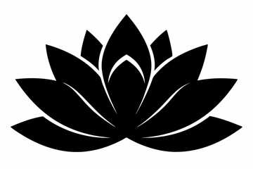 lotus vector illustration, lotus isolated on white, lotus silhouette, lotus vector art