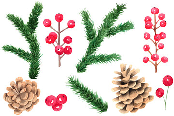 Watercolor pine branches and cones isolated on white background. Christmas decorations clipart. Floral set for scrapbooking, greeting cards, invitations. Red berries