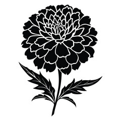 Marigold Flower Silhouette Art