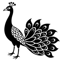 Peacock vector illustration, peacock isolated on white, peacock silhouette, peacock vector art