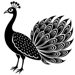 Peacock vector illustration, peacock isolated on white, peacock silhouette, peacock vector art
