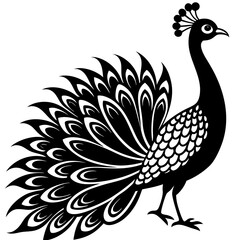 Peacock vector illustration, peacock isolated on white, peacock silhouette, peacock vector art