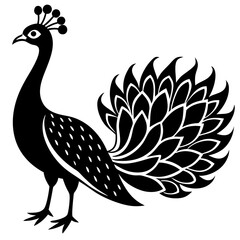 Peacock vector illustration, peacock isolated on white, peacock silhouette, peacock vector art