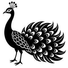 Peacock vector illustration, peacock isolated on white, peacock silhouette, peacock vector art