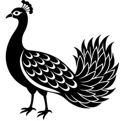 Peacock vector illustration, peacock isolated on white, peacock silhouette, peacock vector art