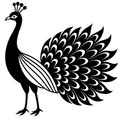 Peacock vector illustration, peacock isolated on white, peacock silhouette, peacock vector art