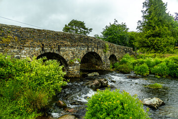 Fototapeta premium Wanderung durch den wunderschönen Nationalpark Dartmoor zur alten Post Bridge - Exeter - Vereinigtes Königreich
