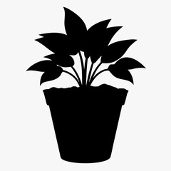 Plant vector illustration, plant in a pot isolated on white, plant silhouette, plant in a pot vector art