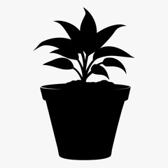 Plant vector illustration, plant in a pot isolated on white, plant silhouette, plant in a pot vector art