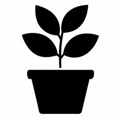 Plant vector illustration, plant in a pot isolated on white, plant silhouette, plant in a pot vector art